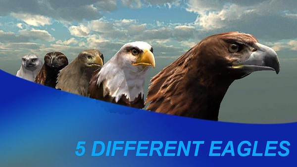 猎鹰之旅模拟器0