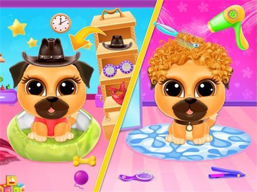 帕格护理小狗日托2