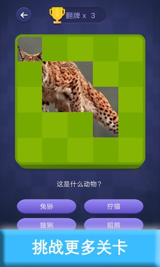 猜图宝4