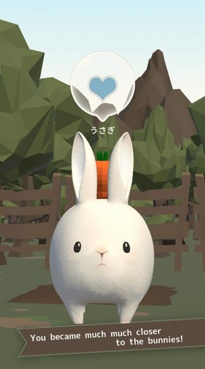 兔子真是太可爱了23