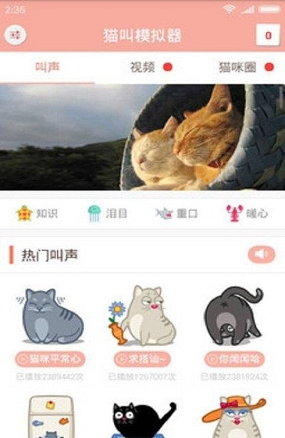 猫叫仿生器2