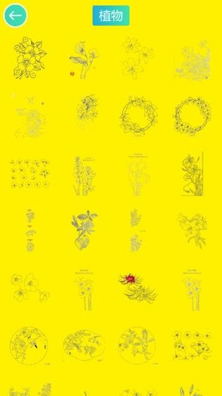 植物涂色世界1