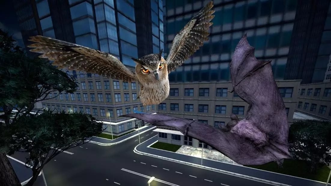吸血蝙蝠模拟器3D0