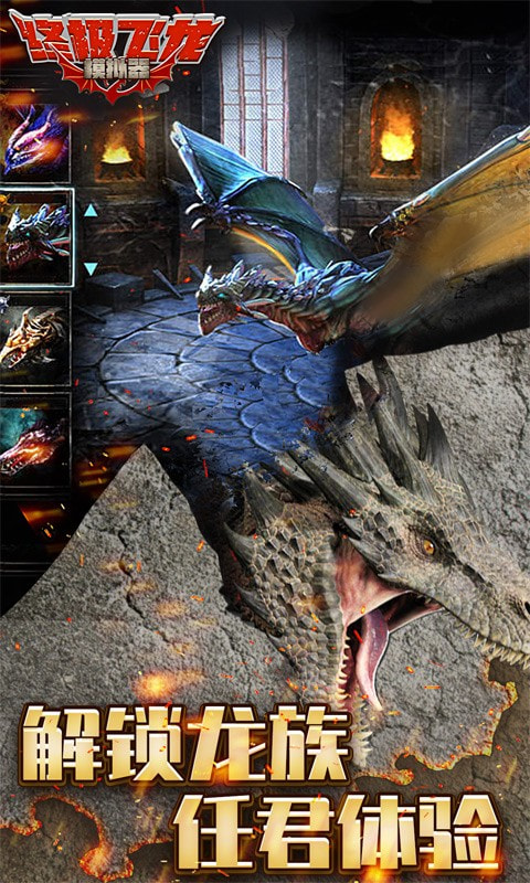 终极飞龙模拟器1