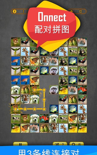 onnect配对拼图1