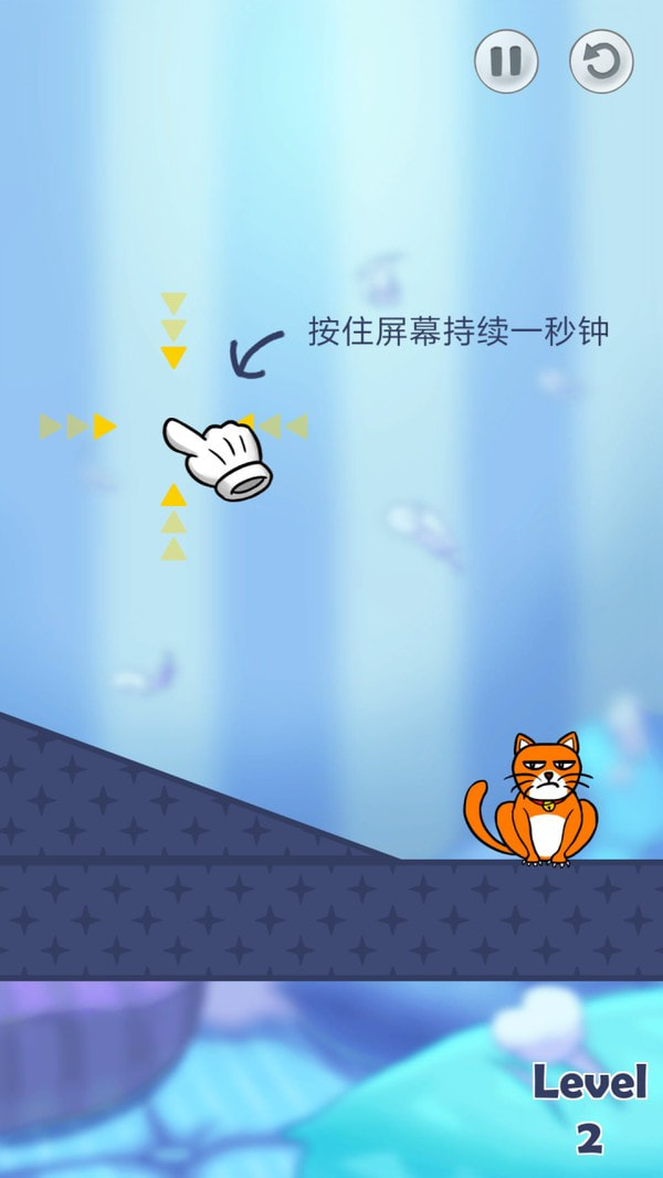 你好猫咪2