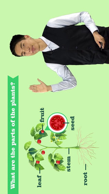 少儿国际班教学2