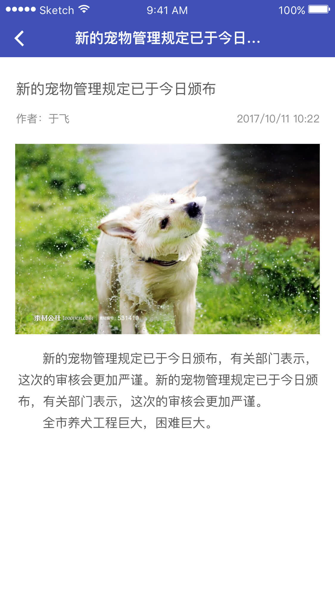 养犬执法3