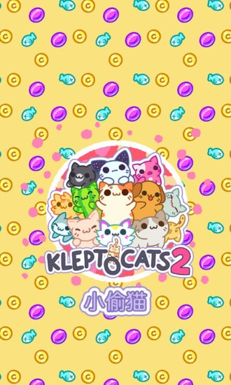 小偷猫21