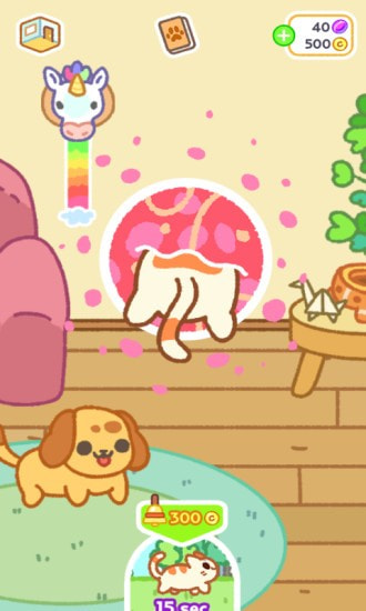 小偷猫24