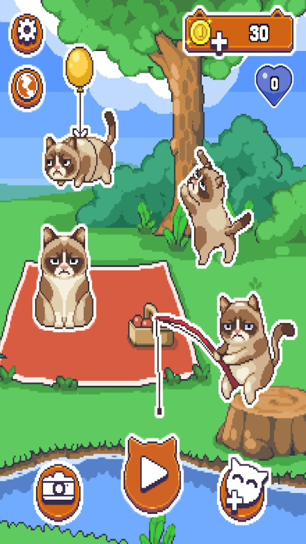 不爽的猫1