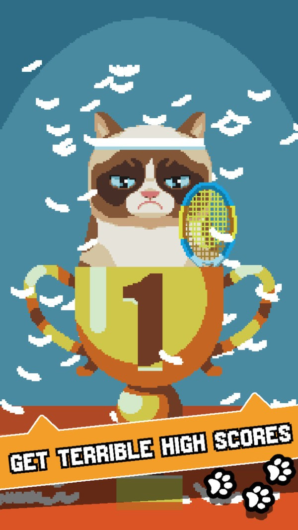 不爽的猫3