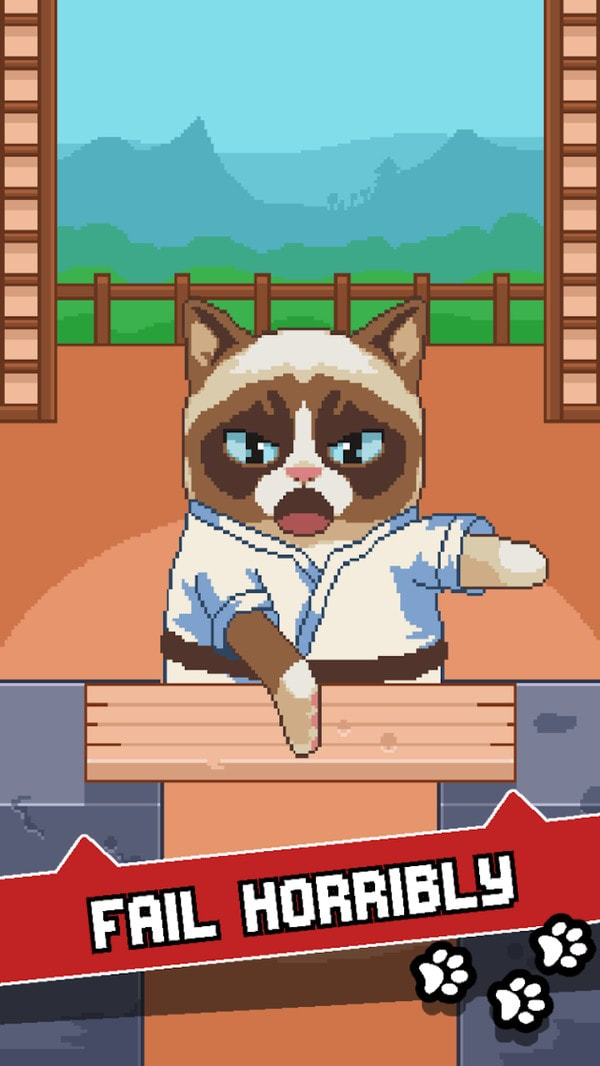 不爽的猫4