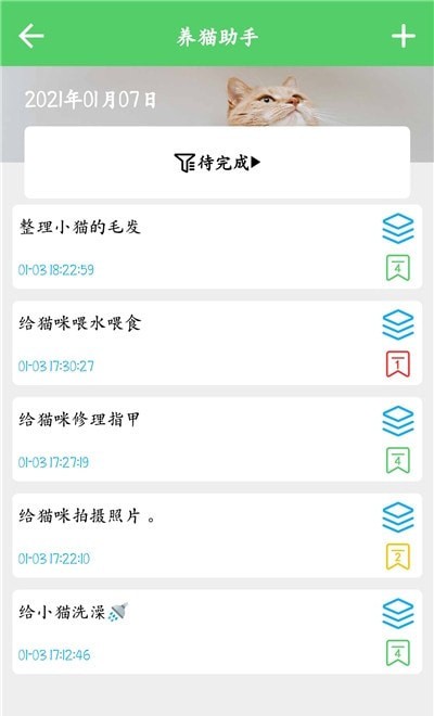 猫咪之家 猫咪之家