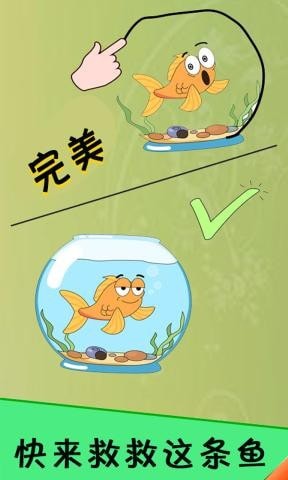 脑洞君4