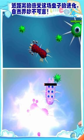 昆虫进化模拟器1