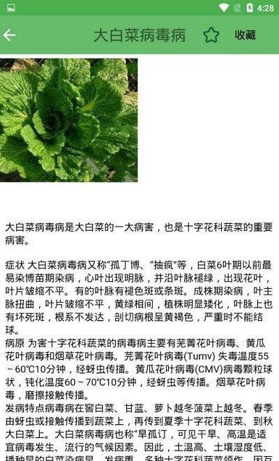农业病虫害专家诊断 农业病虫害专家诊断