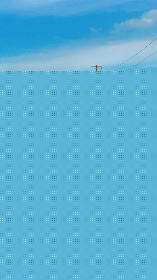 美国卡车模拟器20211