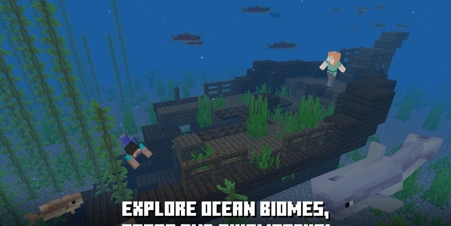 我的世界1.16.210.55国际版2