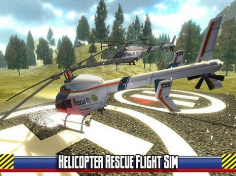 直升机的模拟救援0