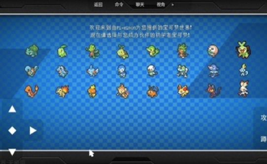 宝可梦世界无极限联机版
