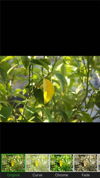 叮当视频图片编辑1