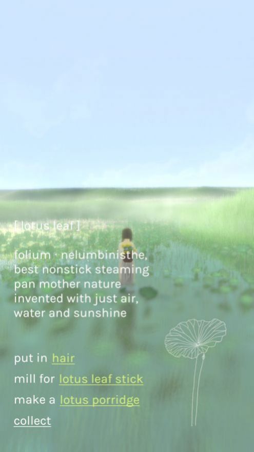 freeland心旷之地1