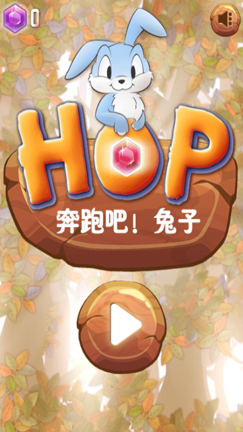 奔跑中的小兔子2