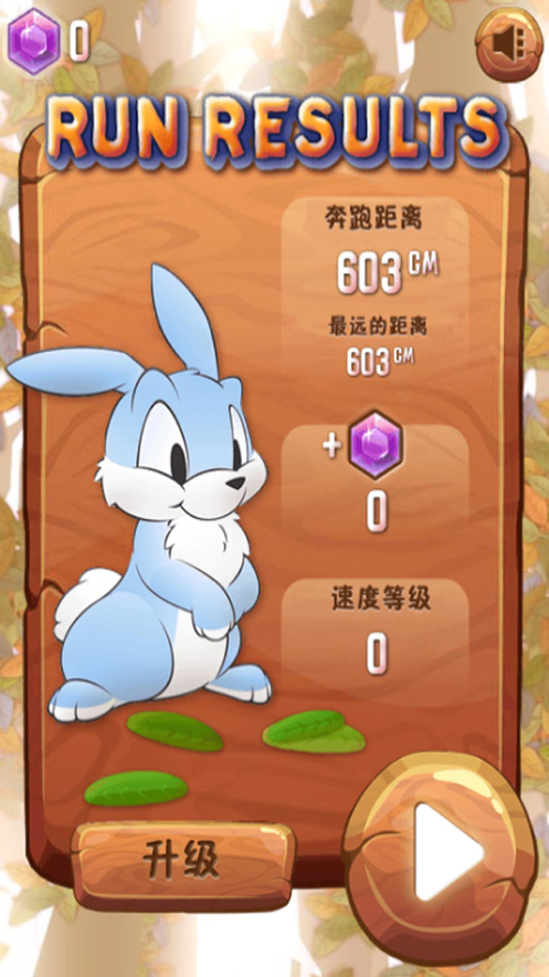 奔跑中的小兔子3