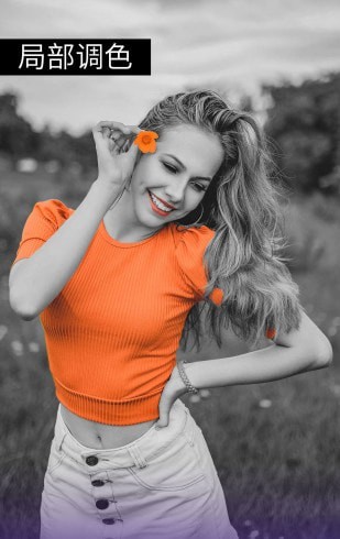 p图大师专业版3