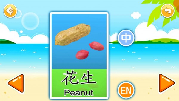 宝宝早教有声卡片0