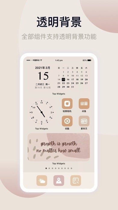 TopWidgets2