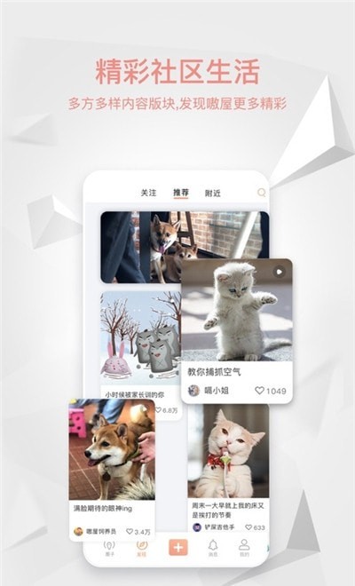 嗷屋宠物生活馆3