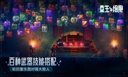 重生细胞无邪魔极天道2