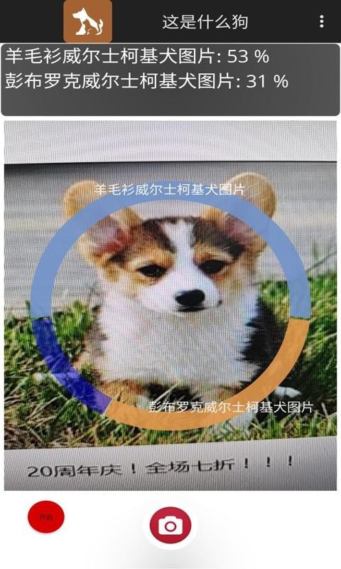 这是什么狗3
