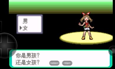 口袋妖怪日月宝石八木特别篇2