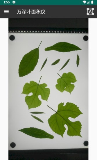 万深植物图像分析仪0