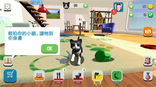 我的收养猫咪1