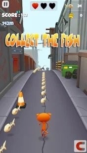 垃圾猫赛跑1