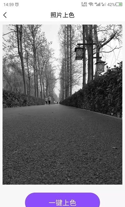 照片上色1
