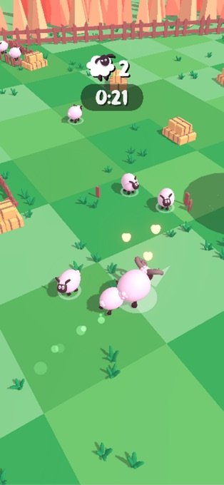 sheep stampede0