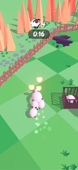 sheep stampede2