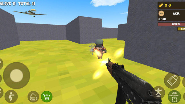 方块皇家生存战5