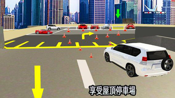 真实多层停车0
