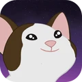 猫咪拍黄瓜