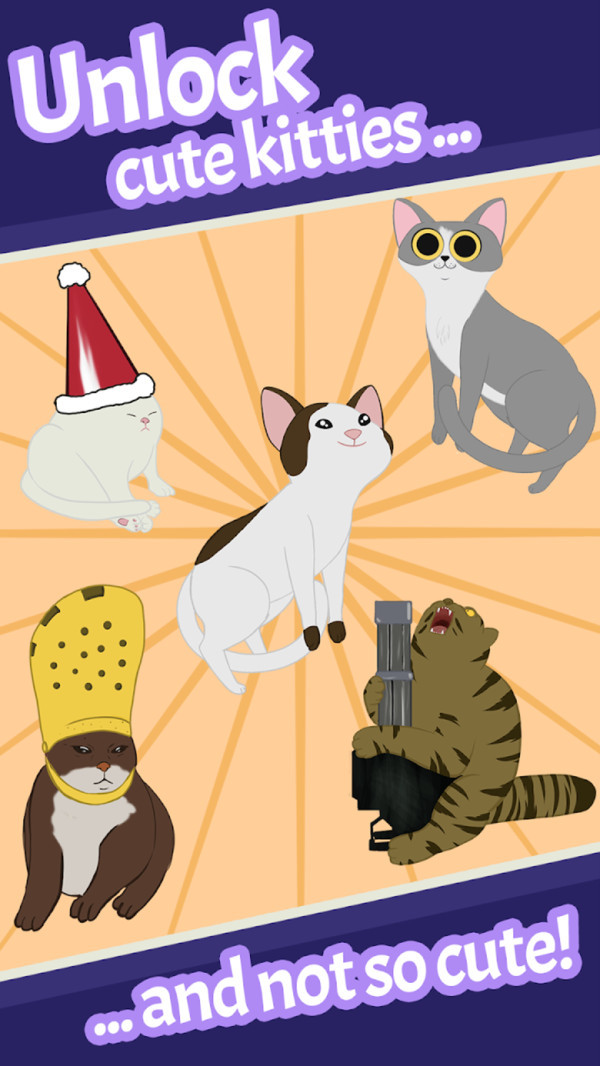 猫咪拍黄瓜1