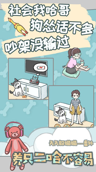 养只二哈不容易5