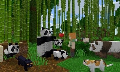 我的世界基岩版1.16.230.543