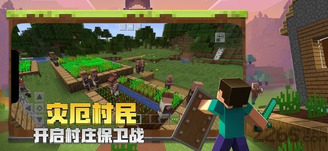 我的世界蜜蜂版本3
