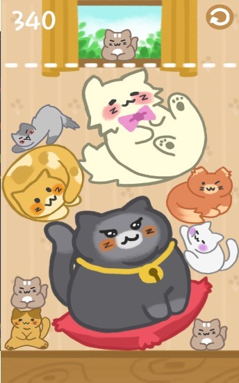 猫咪满屋3